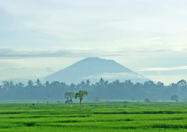 bali